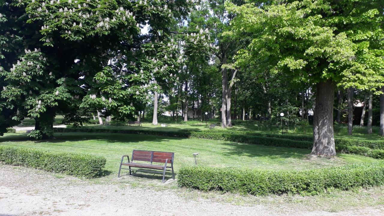 Dwor Strzyzew Bed & Breakfast Zelazowa Wola Exterior photo